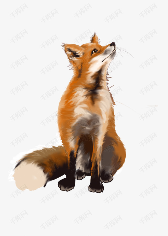 动物主题之狐狸手绘插画