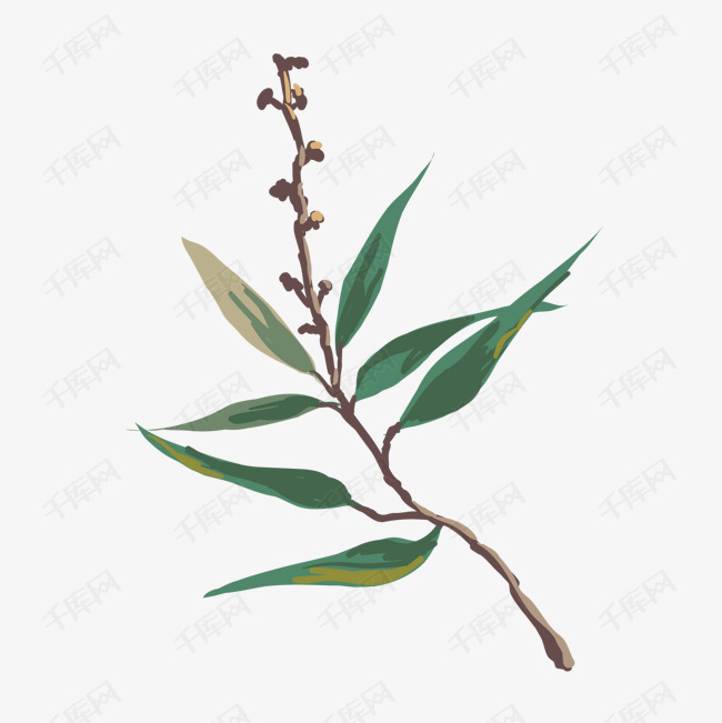 一株细长叶子的植物的素材免抠一株植物细长叶子绿色绿化净化手绘