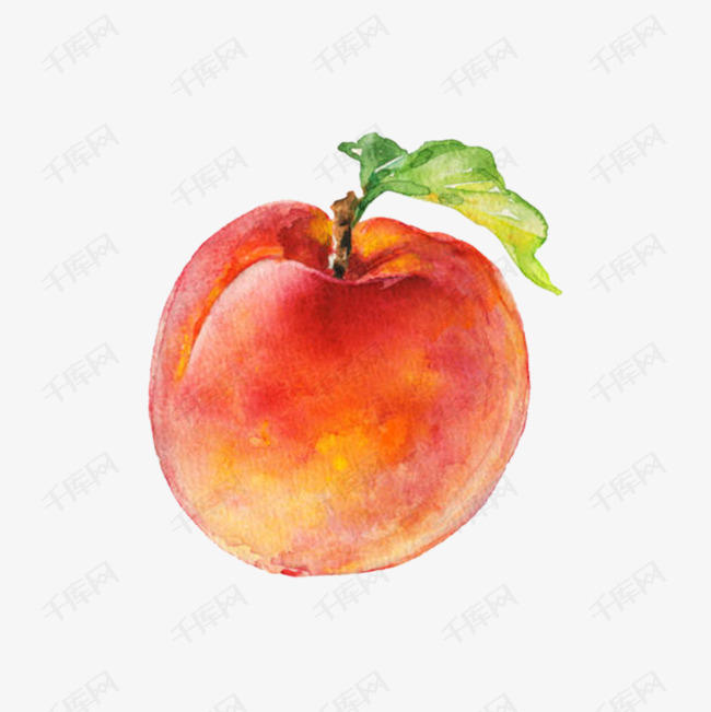 手绘水彩水果桃子的素材免抠卡通手绘插画免扣png水彩水果