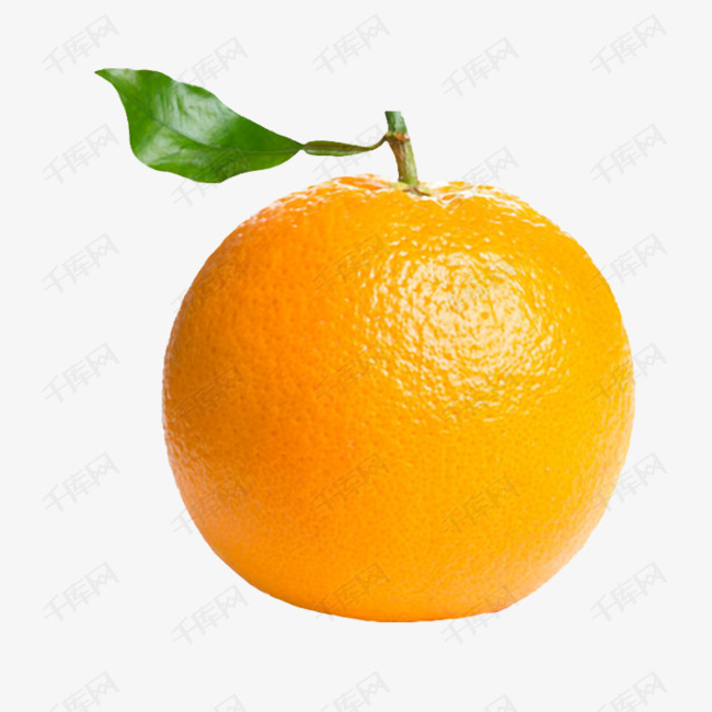 实物图实拍图水果脐橙橙子