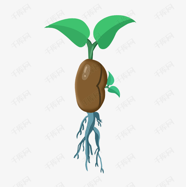 手绘豆子发芽插画