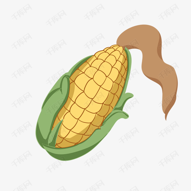 黄色的玉米手绘插画