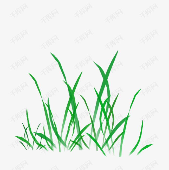 简约绿色小草插画海报免抠元素