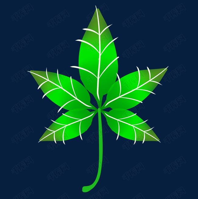 绿色阔叶树叶元素