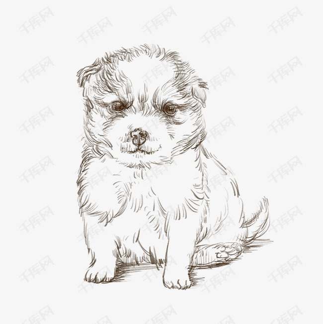 线描小狗手绘插画