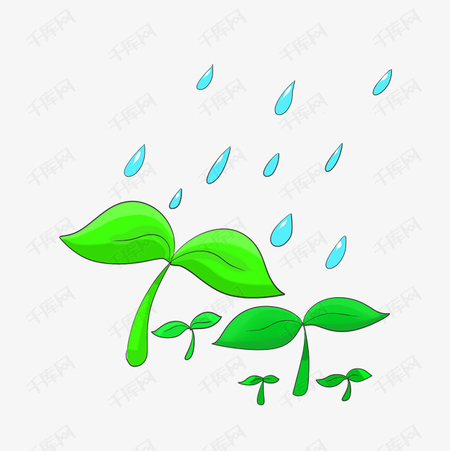 雨水和植物手绘插画