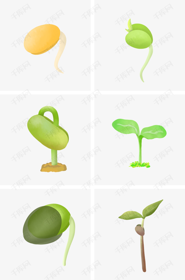营养美味的豆芽组合