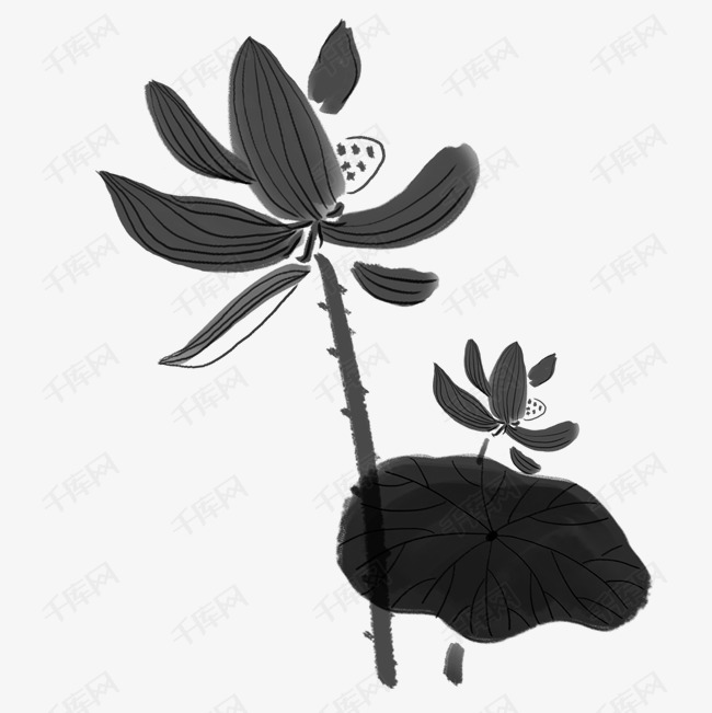 卡通黑色的毛笔画荷花免扣图