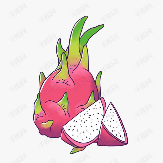 手绘热带水果火龙果插图png免抠素材