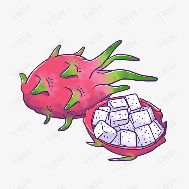 火龙果矢量图  可爱火龙果  水彩