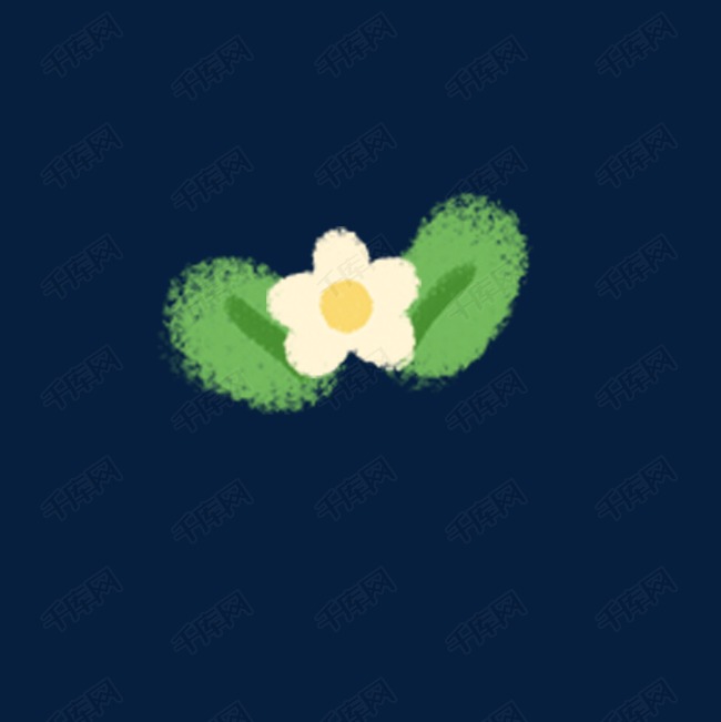 手绘白色小花插画