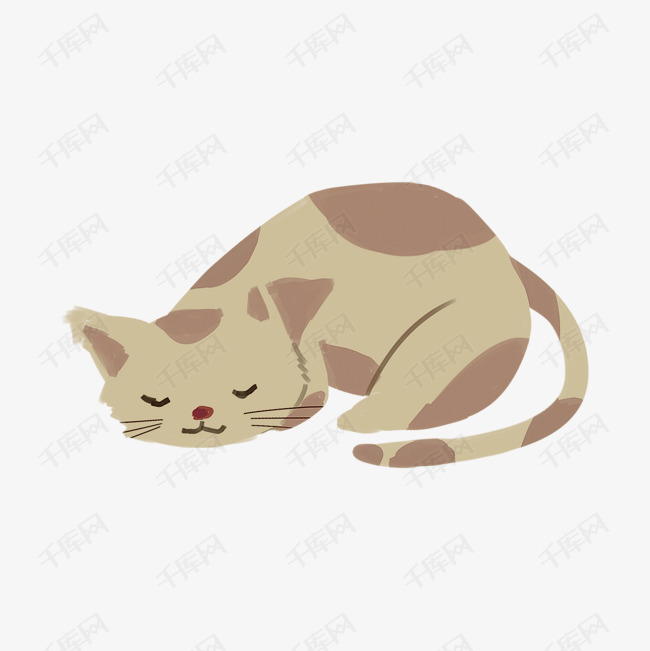 睡觉的猫咪                                        趴着的猫咪