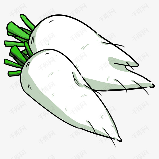 手绘蔬菜白萝卜插画