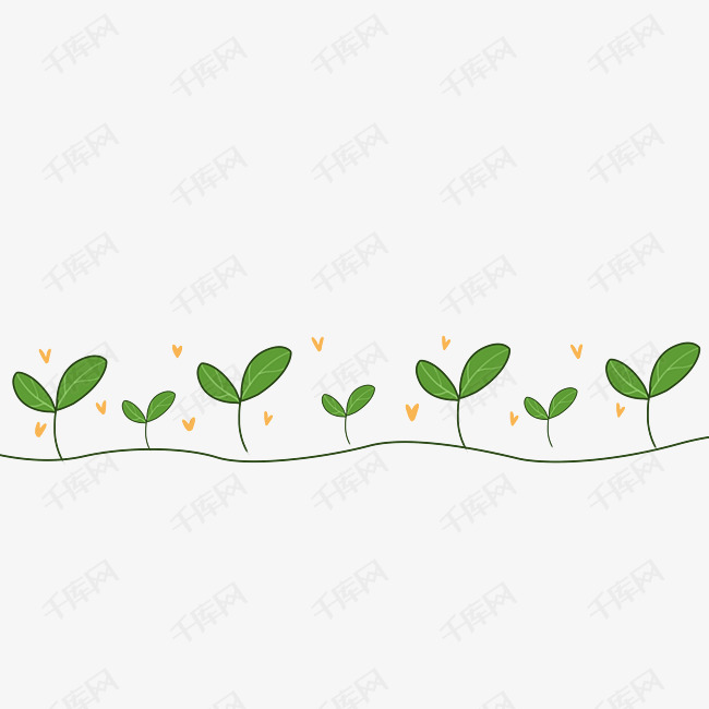 手绘植物分割线插画