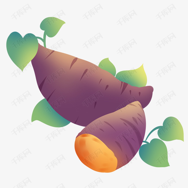 手绘粮食紫薯插画