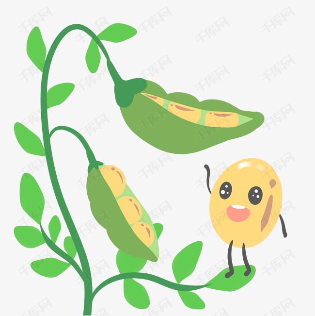 手绘粮食豆子插画