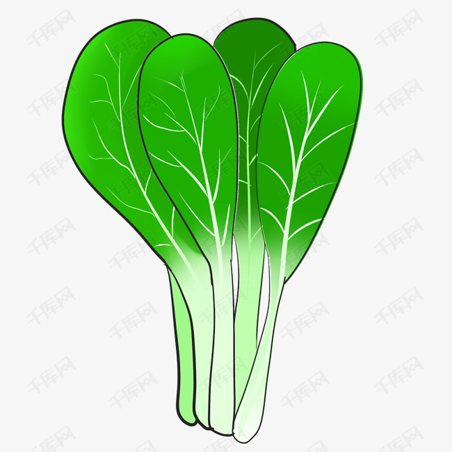 油菜蔬菜卡通插画