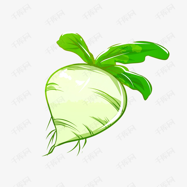 营养蔬菜白萝卜卡通