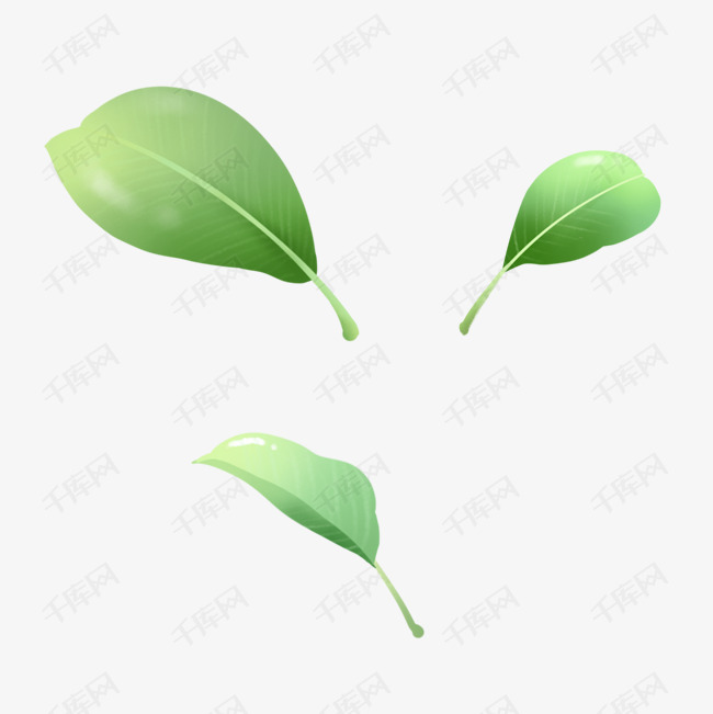 春天小清新绿色植物多片叶子