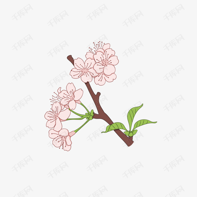樱花之淡彩小清新一枝樱花免抠素材