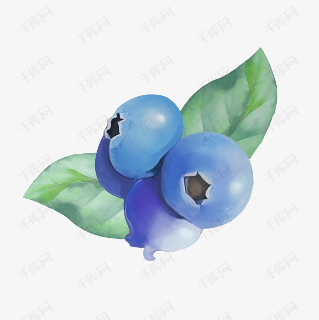 卡通水果蓝莓插画