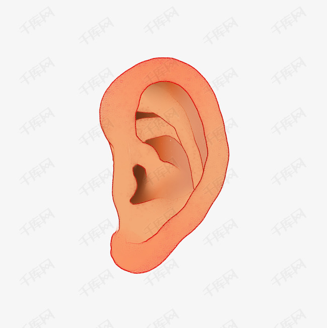 耳朵五官听觉器官png素材