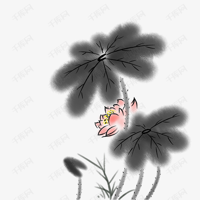 水墨荷花淡雅夏天