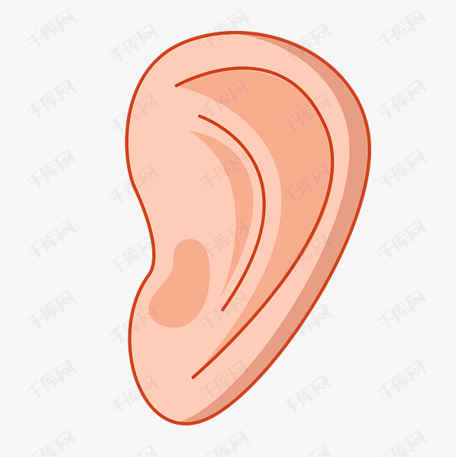 人类五官耳朵一只