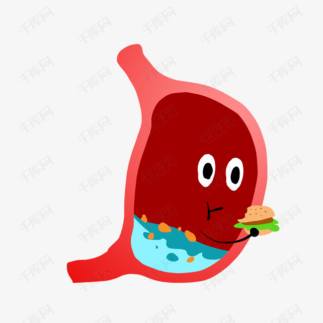 卡通红色胃部插图