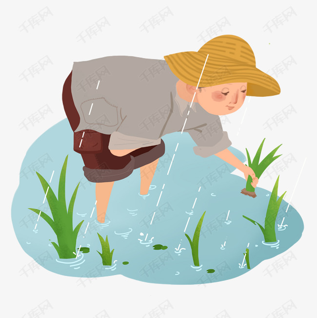 谷雨插秧的小男孩
