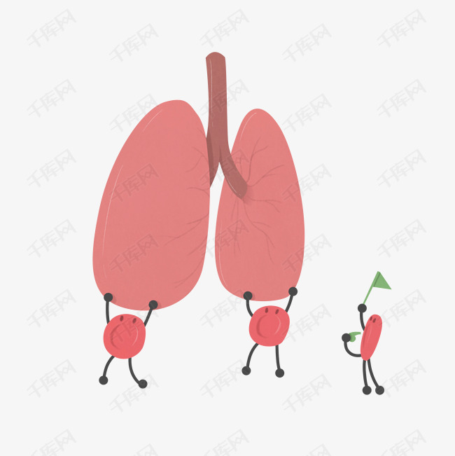 卡通粉色肺部插画