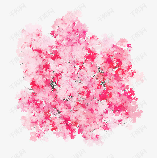 春夏樱花png素材图片免费下载_高清psd_千库网(图片