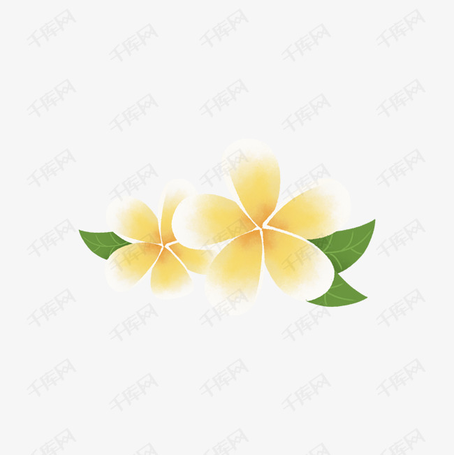 黄色的鸡蛋花素材图片免费下载-千库网