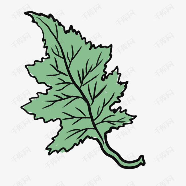 卡通绿色蔬菜荠菜