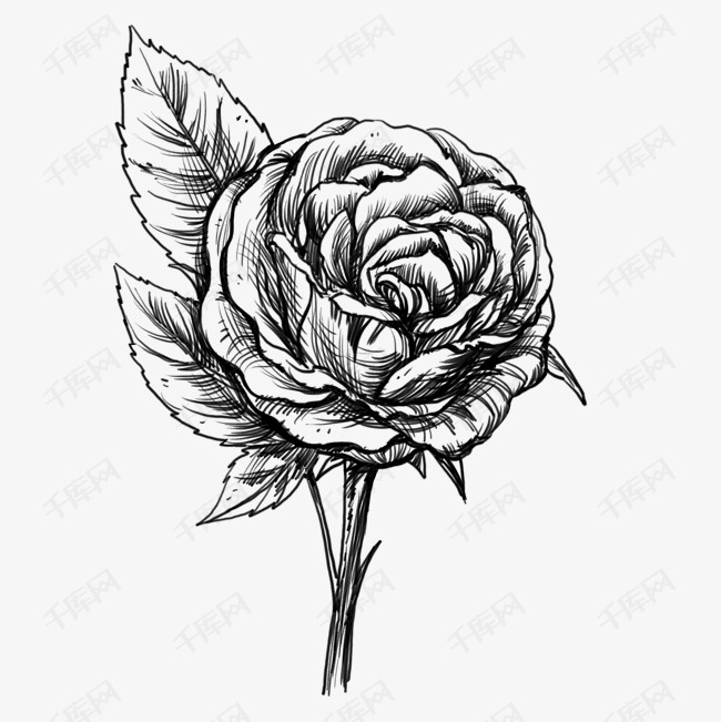 如何在手上画玫瑰花 6d82e1ef3675b4cb754ddcc7e55590c9.jpg