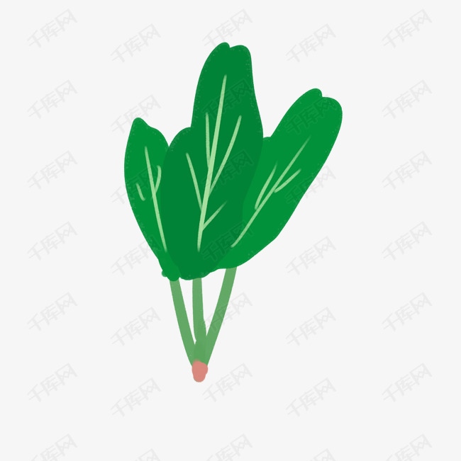 卡通手绘蔬菜装饰海报设计菠菜