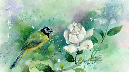 栀子花
