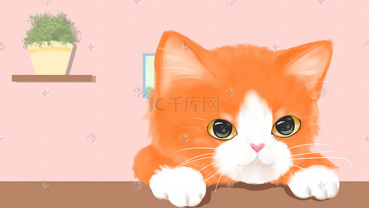 卖萌猫插画图片_萌宠橘猫卖萌手绘插画