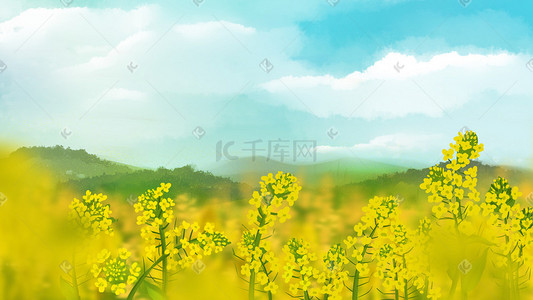 三月春插画图片_春天蓝天下的油菜花风景