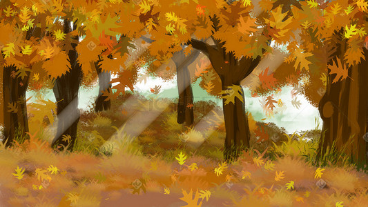 秋天穿过树梢的光