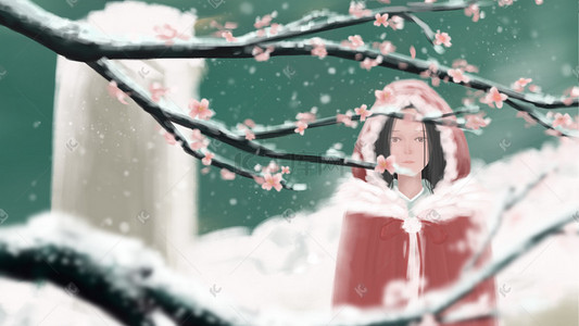 雪地观梅插画背景