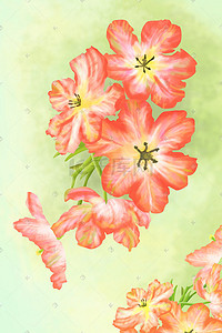 花朵绿叶插画图片_花卉植物红色花朵绿叶青草自然手绘插画