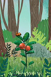 原创森林绿色雨水清新植物七星瓢虫手绘