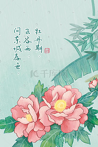 白牡丹花插画图片_淡青色调 国风谷雨牡丹图