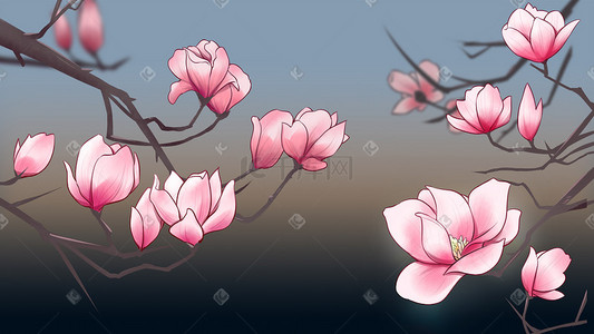 线描惠州插画图片_花卉木兰粉色插画