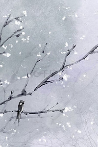 鸟类插画图片_古风意境树枝鸟类春季风景