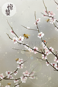 桃树桃花插画图片_惊蛰-桃花蜜蜂-七星瓢虫