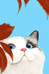 猫咪耳朵卡通插画图片_可爱萌宠猫咪清新手绘