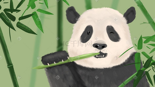 熊猫后背插画图片_可爱淘气熊猫吃竹子插画