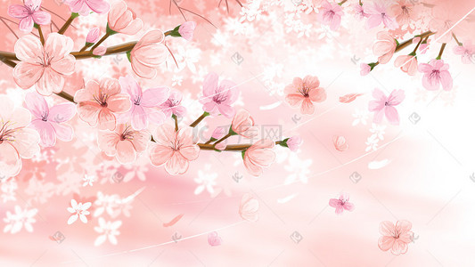 樱花风景手绘背景